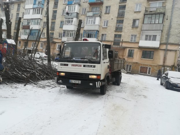 Обрізані дерева у дворі Тернополя
